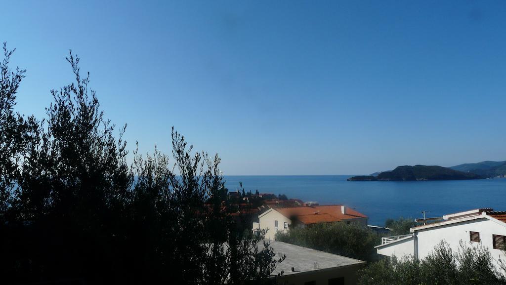Guest House Zivkovic Свети-Стефан Экстерьер фото